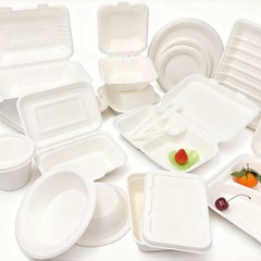 Bagasse vara