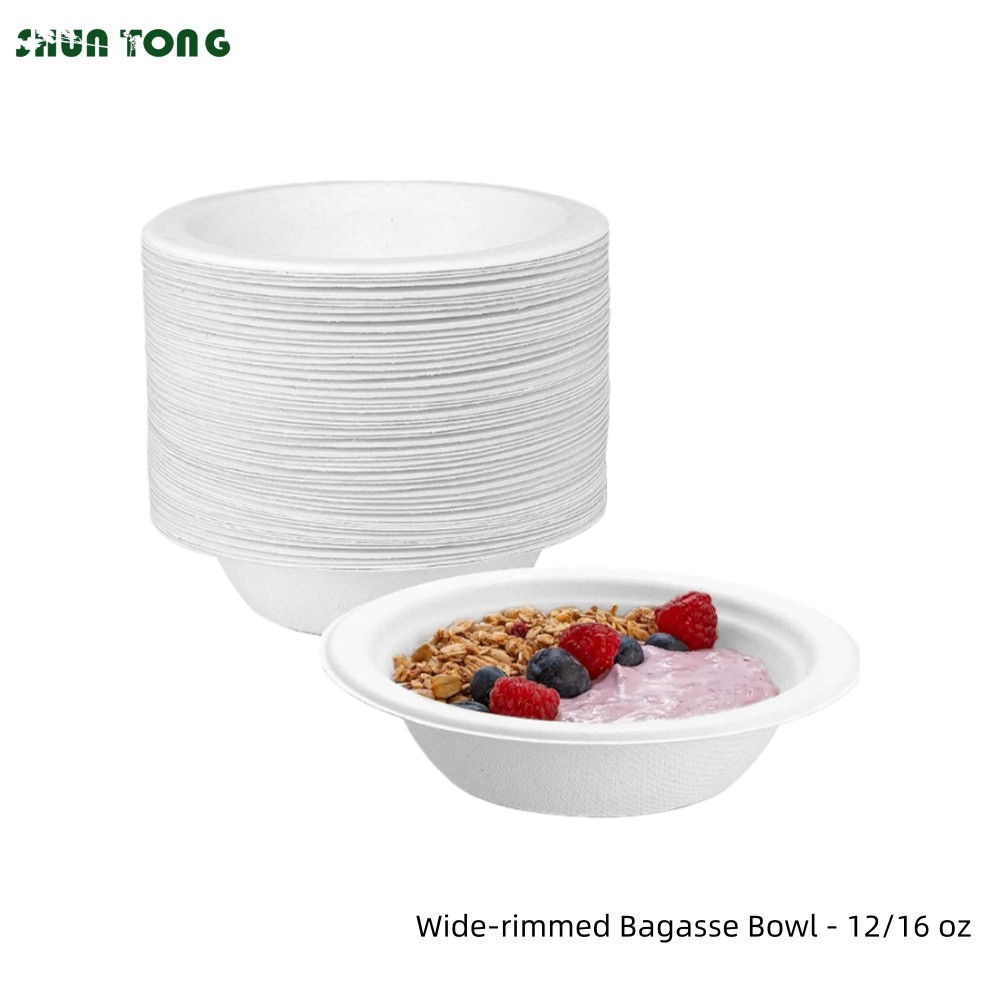 Sugarcane Disposable Bowls